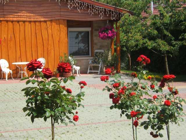 Angela Hotel Berettyóújfalu Buitenkant foto